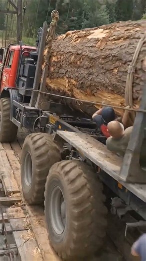 Massive Logging Truck Battles a Swaying Suspension Bridge #truck #offroad #shorts