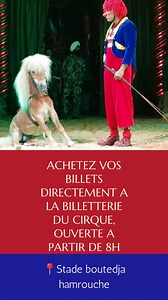 283 reactions · 37 comments | CIRQUE AMAR À SKIKDA Du 19 au 30 juillet parking du Stade boutedja hamrouche Ne manquez pas notre grand spectacle. | Cirque Amar Algeria | Facebook