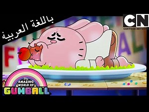المرشح | غامبول | كرتون نتورك