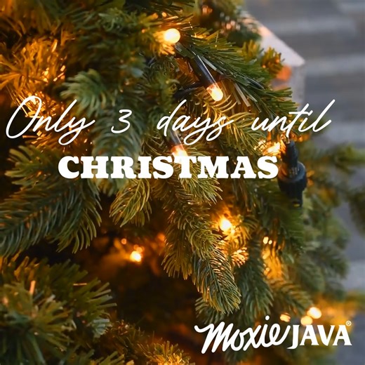 Only 3 days until Christmas! 🎄✨ Fuel the final countdown with your favorite Moxie Java drink ☕ #moxiejava #showusyourmoxie #takeamomenttomoxie | Moxie Java