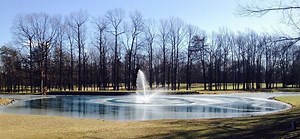 How Does Road Salt Affect Lakes, Ponds and The Environment?
