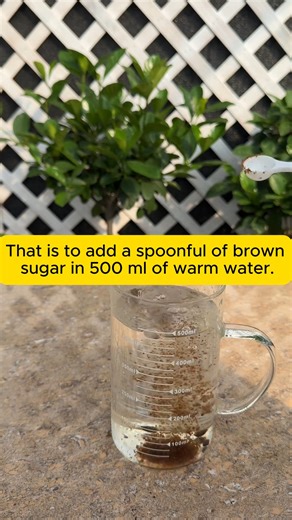 43K views · 261 reactions | Effective root stimulant for seedlings #gardenphotography #gardenlovers #gardenerslife #gardenart #gardenbeauty | Garden Tips | Facebook