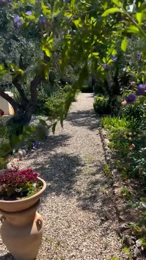 Step into the Garden of Gethsemane, the sacred place where it is believed Jesus prayed in deep sorrow before His crucifixion. Amid ancient olive trees and quiet surroundings, this garden holds a powerful story of faith, sacrifice, and hope. Join us as we reflect on this profound moment that changed history forever. #GardenOfGethsemane #JesusPrayer #HolyLand #BiblicalSites #Jerusalem #FaithJourney #ChristianPilgrimage #SacredPlaces #PeaceAndReflection #HolyWeek #Israel #faith #christian | Artzabo