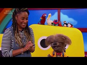 CBeebies - Continuity (29th April 2025)