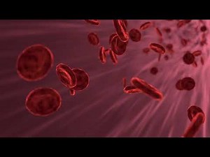 Red Blood cells flowing - 4K background video - Medical background animation