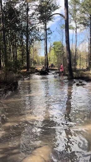 Wild Country Adventure: Mud Ride Fun
