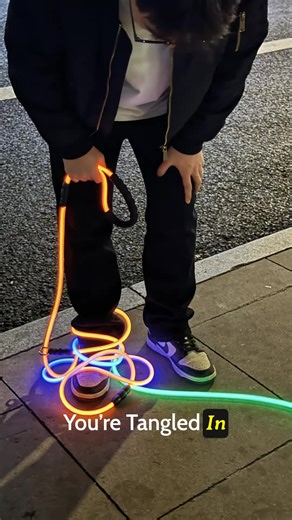 Tired of leash tangles? 🐾 Upgrade to our tangle-free harness and stylish vegan leather leash for chic, chaos-free walks!✨