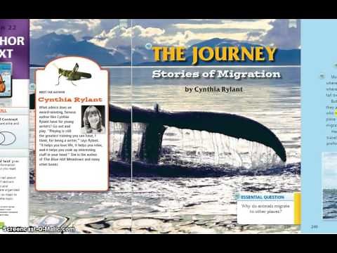 The Journey Stories of Migration