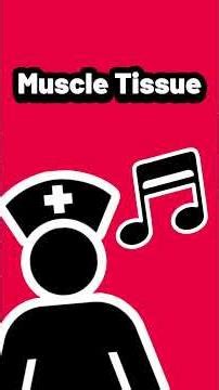 “Muscle Tissue” - A medical song about the muscles