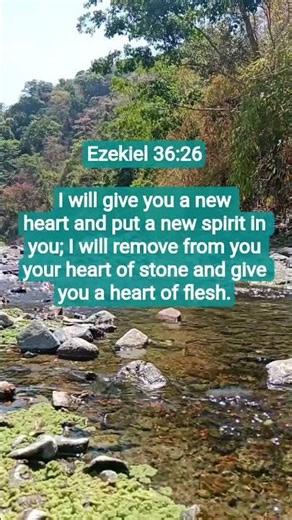 I will give you a new heart and put a new spirit in you