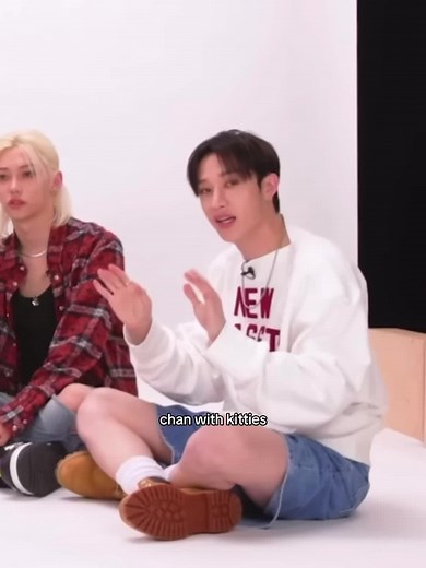 skz puppy and kitty interviews are more effective than therapy #bangchan #방찬 #straykids #skz #lovestay #ot8