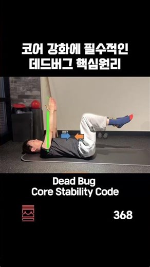 368 코어 강화에 필수적인 데드버그 핵심원리 Dead Bug Core Stability Code#허리강화#core