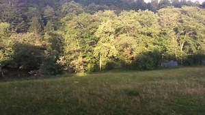 8.8K views · 425 reactions | Take a train ride with us on the Blue Ridge Scenic Railway ! A train ride alongside the Toccoa River into the Copper Basin  | Visit Blue Ridge GA | Facebook