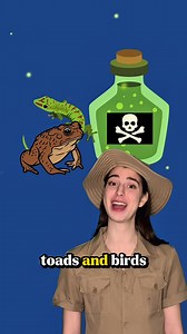 Throwback to the video that gained me over 100k followers. New project coming soon 👀 #animals #insects #creativity