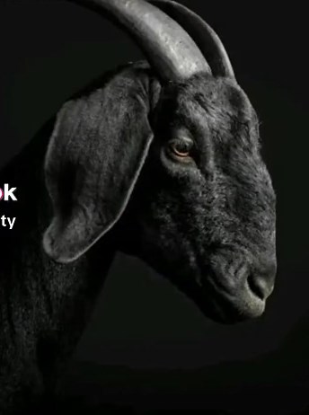 Nathi Mavuso on TikTok