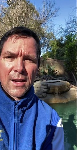 BACKWASH POOL FILTER: Zodiac Chlorinator