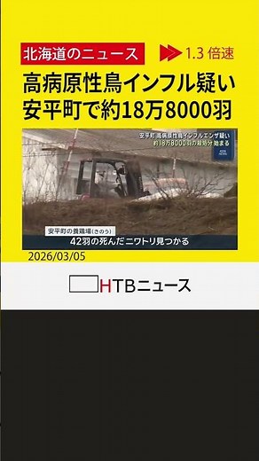 安平町 高病原性鳥インフルエンザの疑い 約18万8000羽の殺処分始まる 北海道内で今シーズン４例目