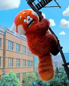 'Turning Red' director Domee Shi talks potential sequel for the Oscar-nominated film