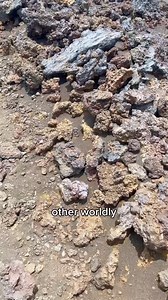 Save this for your next Maui adventure! Discover three incredible hikes on Maui! Explore lush scenery and breathtaking views on the Waihe’e Ridge Trail, marvel at bamboo forests and waterfalls on the Pipiwai Trail, or challenge yourself with the otherworldly landscapes of the Sliding Sands Trail. #AliiResorts #MauiVacation | Ali'i Resorts - Maui | Facebook