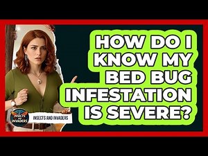 How Do I Know My Bed Bug Infestation Is Severe?