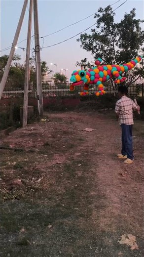 The Creative lizard Mascot Takes Over the Football Field