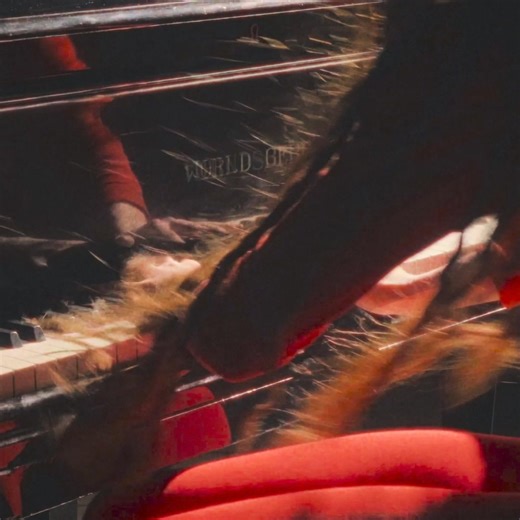 ‘World of Work’ [WARP370] The Warp debut from Clarissa Connelly is out now. 1xLP | CD | DIGITAL → clarissaconnelly.ffm.to/worldofwork | Warp Records