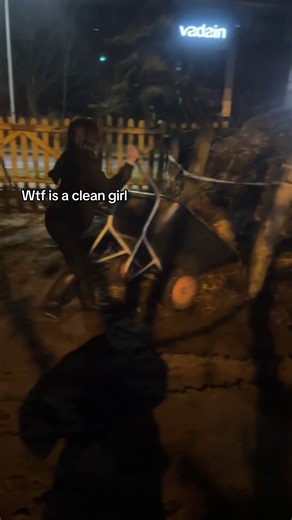 Stable Life Insights: Real Moments with Horses