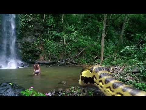 Snake Movie SCARY Scene Must Watch mp4