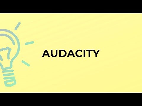 What is the meaning of the word AUDACITY?