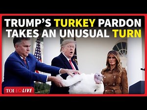 LIVE | Trump & Melania Pardon Gobble & Waddle Turkeys In Thanksgiving Ceremony | US News