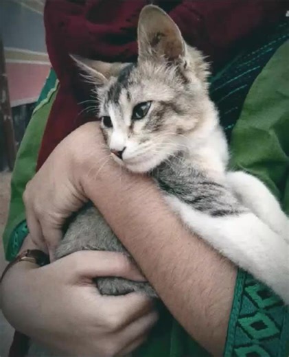 #mini😘💞💞#fypシ