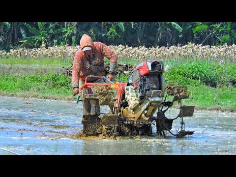 Watch This Power Tiller with Wooden Leverer Attachment Tilling Wet Land