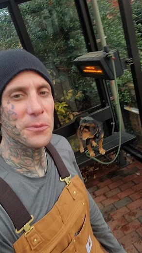 slap_and_blackjack (@slap_and_blackjack)’s videos with original sound - slap_and_blackjack