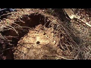Distribution box (d-box) of a septic system. Cleaning the lid. Cashiers, North Carolina.