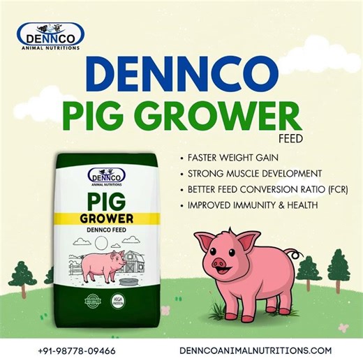 DENNCO Pig Grower Feed 🐖 | Faster Weight Gain & Better FCR Formula