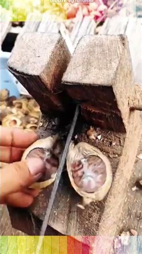 Brilliant Manual Seed Opening Tool: Fast & Efficient Processing! #Innovation