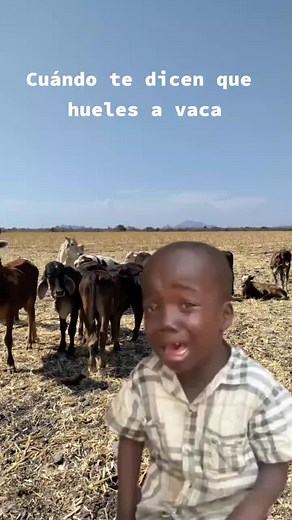 Cattle in a Grassy Field: A Glimpse into Farm Life