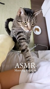 1.1K views | Spring birds a-chirping, tea a-brewing, all my fav a-sounds to wake up to after a solid sleep. | Casper | Facebook