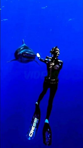 The Woman Who Dives with Sharks: Meet Ocean Ramsey