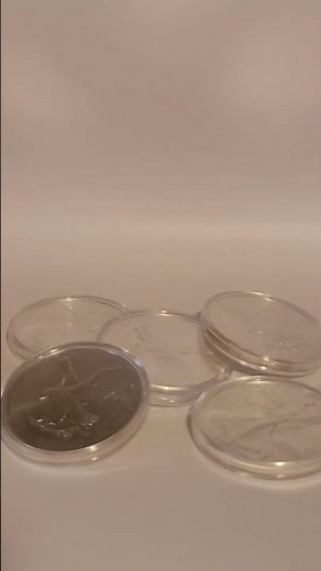 Who Was Ludwig Von Mises