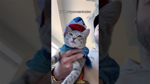 My adorable kitten is actually a secret agent in disguise