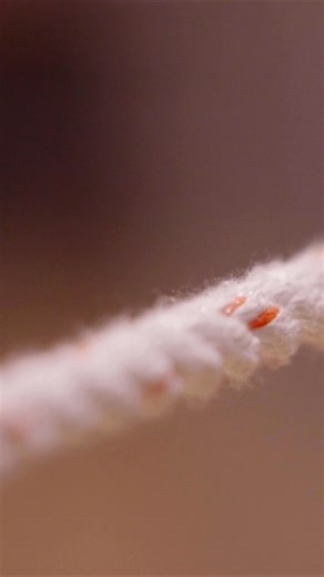 The Pequod is nearly ready to set sail! While we set the stage for Jake Heggie’s riveting adaptation of Herman Melville’s classic tale, watch this behind-the-scenes footage from a recent rehearsal. Tenor Brandon Jovanovich leads an all-star cast as Captain Ahab, with Maestro Karen Kamensek at the helm.🐋 Moby-Dick opens March 3 and is on stage through March 29. Book your tickets: bit.ly/3YNaWWZ Videography by Pete Scalzitti / Met Opera Audio courtesy of San Francisco Opera #MetOpera #MobyDick #B