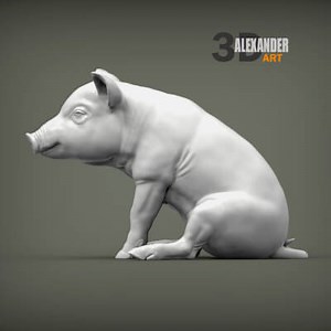 Baby Pig Sitting - 3D Model by Alexander3dart