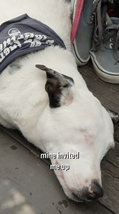 For any young aspiring musician, participating in a band is a rite of passage, pushing the limits of teamwork, patience, and hard work. It’s not easy to be in a band. But it’s incredibly fulfilling. No one knows this quite like longtime Texas Monthly writer Michael Hall: While much of his writing career has been focused on serious criminal-justice reporting, he has also always played in a band. When Hall came to learn about a group of young musicians at the Texas School for the Blind and Visuall