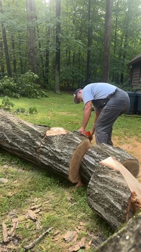 214K views · 6.5K reactions | Proof is in the video! #godgunsandsawdust #oldschool #thatisabigboombaby #realamericanhardwood #BigBoomBaby #realmen #trees #Oregon #chainsaw #TKP God, Guns and Sawdust Podcast Wood for Warriors Lillysfarmandfirewood Josh Cherry Outdoors With The Morgans | Timberkutterpatriot | Facebook