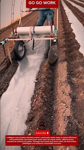 Manual Plastic Mulching Process for Soil Moisture Control and Weed Prevention