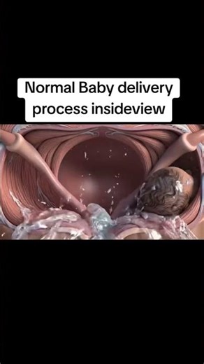 Normal Baby Delivery Process Inside View | Step-by-Step Educational Animation #babyfriendlyhospital