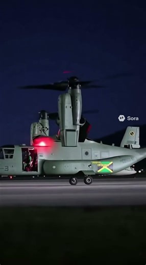 Alien Examination Part 5