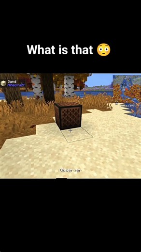 Minecraft Creates Something Crazy 😳#shorts #minecraft