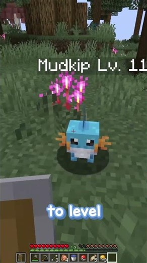 Minecraft's Pokemon Mod Is INSANE!